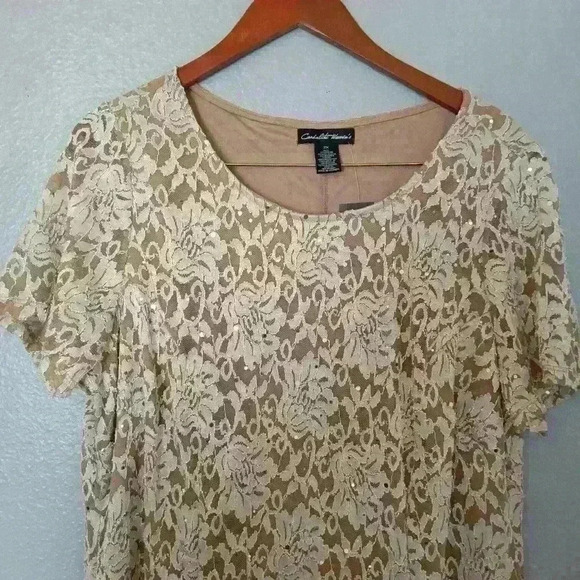 Cardalite Women's Dress Nude/tan sequined 2X - Picture 4 of 15